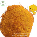 Corn Gluten Meal60%- 50% Protein for Delivery Fast